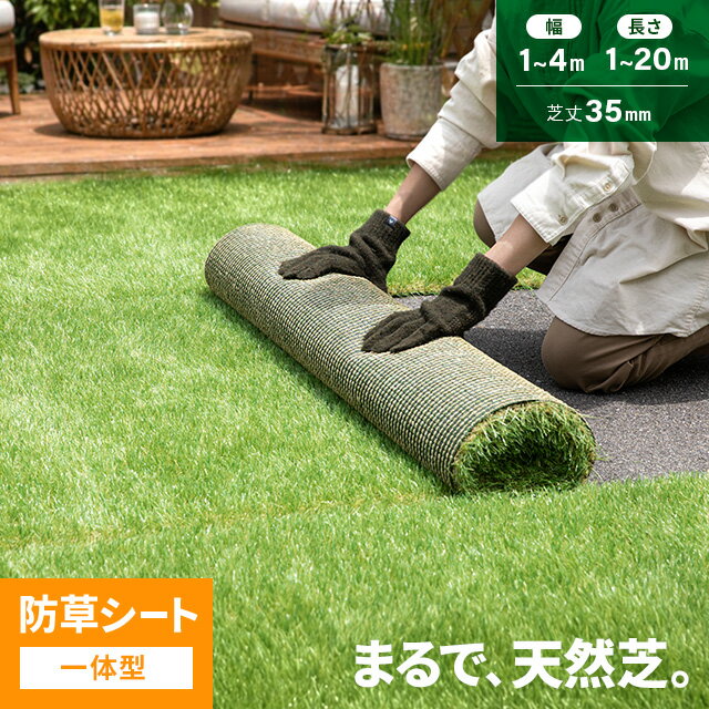 樂天商城 - [本日P7倍] [即日出荷] 人工芝 2m×10m 防草シート一体型 芝丈35mm 1m×1m?4m×10m 1m 2m 3m 4m 芝 芝生マット 人工芝生 ロール 人工芝ロール 芝生 ロールタイプ 固定ピン 庭 ベランダ テラス バルコニー ガーデニング u字ピン 水はけ 人口芝