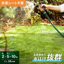 人工芝 ロール 2m×5m 2m×10m 芝丈35mm 防草タイプ ロールタイプ 芝生マット 人工芝生 人工芝ロール 芝生 防草仕様 人工 芝 固定ピン 庭 ベランダ テラス バルコニー ガーデニング 屋上緑化 u字ピン 水はけ 人口芝
