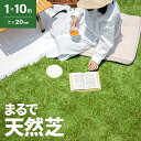 人工芝 1m×10m 芝丈20mm ロール 芝生マット 人工芝生 芝生 ロールタイプ 人工芝ロール 固定ピン 庭 テラス バルコニー ベランダ ガーデニング u...