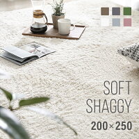  ラグ シャギーラグ 送料無料 rug 200×250 250×200 マイクロファイバーシャギー 北欧 Z4糸 ラグマット シャギー 滑り止め カーペット グリーン 洗える ホットカーペット 冬用 夏用