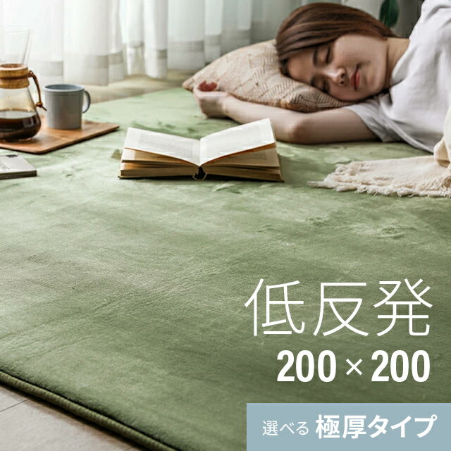 [シリーズ累計26万枚突破] ラグ 北欧 低反発 200×200 ラグマット 送料無料 rug 低反発ラグ 滑り止め 防音マット ホッ…