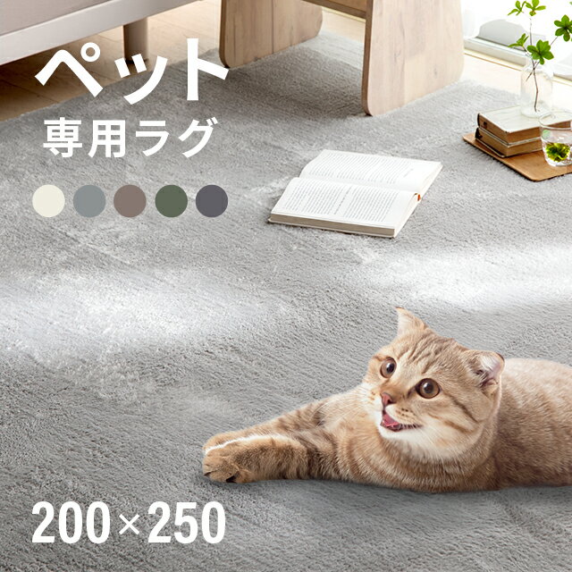 ペット用ラグ ラグ シャギーラグ 送料無料 rug 200×250 250×200 マイクロファイバーシャギー 北欧 ラグマット シャギー 滑り止め カーペット グリーン 洗える ホットカーペット 冬用 夏用