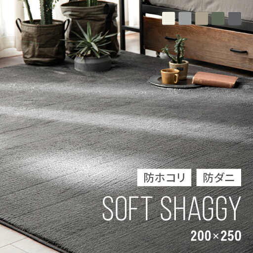 MODERN DECOの[P5倍 4/20 12時～] ペット用ラグ ラグ シャギーラグ  rug 200×250 250×200 マイクロファイバーシャギー 北欧 ラグマット シャギー 滑り止め カーペット グリーン 洗える ホットカーペット 冬用 夏用(ラグ・マット)