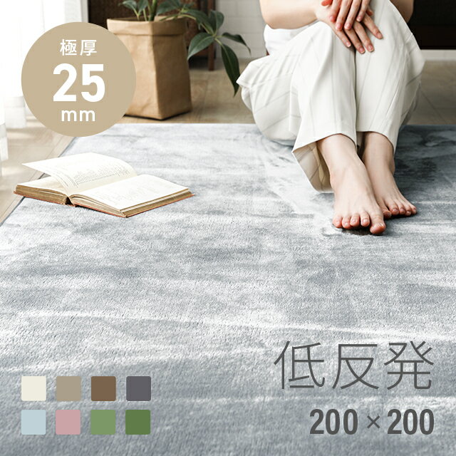 MODERN DECOの[P5倍 5/19 12時～] ラグ 低反発 200×200 2畳 くすみカラー 極厚 25mm 防ダニ ラグマット フランネル 厚手 滑り止め付 マイクロファイバー ウレタン マット カーペット 正方形 絨毯 ホットカーペット対応 おしゃれ(ラグ・マット)