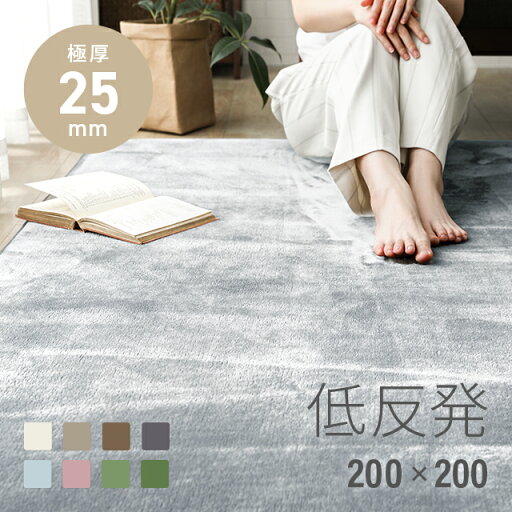 MODERN DECOの[P5倍 4/20 12時～] ラグ 低反発 200×200 2畳 くすみカラー 極厚 25mm 防ダニ ラグマット フランネル 厚手 滑り止め付 マイクロファイバー ウレタン マット カーペット 正方形 絨毯 ホットカーペット対応 おしゃれ(ラグ・マット)