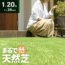 [P5倍 5/6 12時～] 人工芝 ロール 1m×20m 芝丈35mm 送料無料 人工芝 芝生マット 人工芝生 人工芝マット 人工芝ロール 芝生 ロールタイプ 固定ピン 庭 ベランダ テラス バルコニー ガーデニング ガーデン 屋上緑化 u字ピン 水はけ