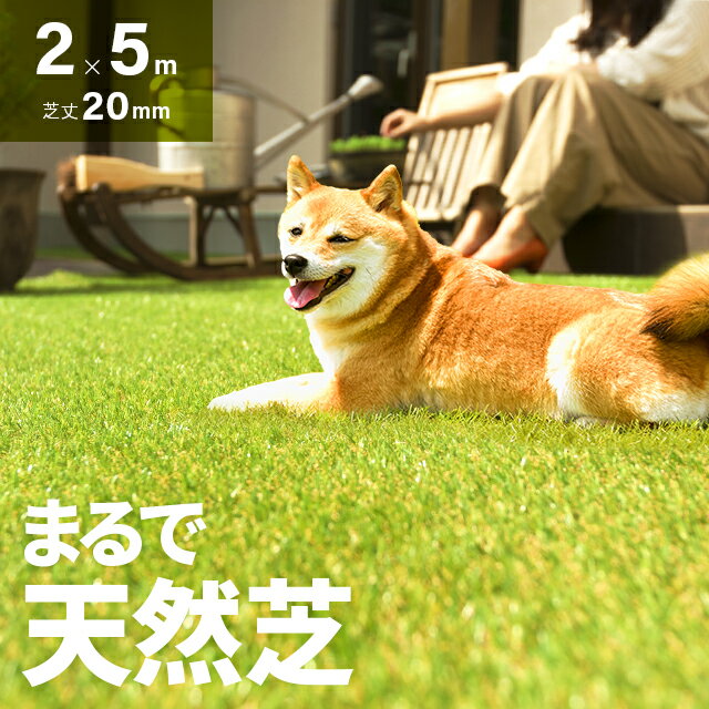 [P5倍 5/15 12時～] 人工芝 ロール 2m×5m ドッグランに最適 芝丈20mm 送料無料 人工芝 芝生マット 人工芝生 人工芝マット 人工芝ロール 芝生 ロールタイプ 固定ピン 庭 ベランダ テラス バルコニー ガーデニング ガーデン 屋上緑化 u字ピン 水はけ