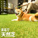 人工芝 ロール ドッグランに最適 2m×10m 芝丈20mm 送料無料 人工芝 芝生マット 人工芝生 人工芝マット 人工芝ロール 芝生 ロールタイプ 固定ピン ...