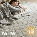 フランネル こたつ敷布団/ラグマット 単品 【正方形 アイボリー 約145×145cm】 無地 抗菌防臭 ホットカーペット可 防滑加工【代引不可】[21]