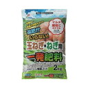玉ねぎ・ねぎ用一発肥料2kg朝日アグリアガーデニング園芸用品