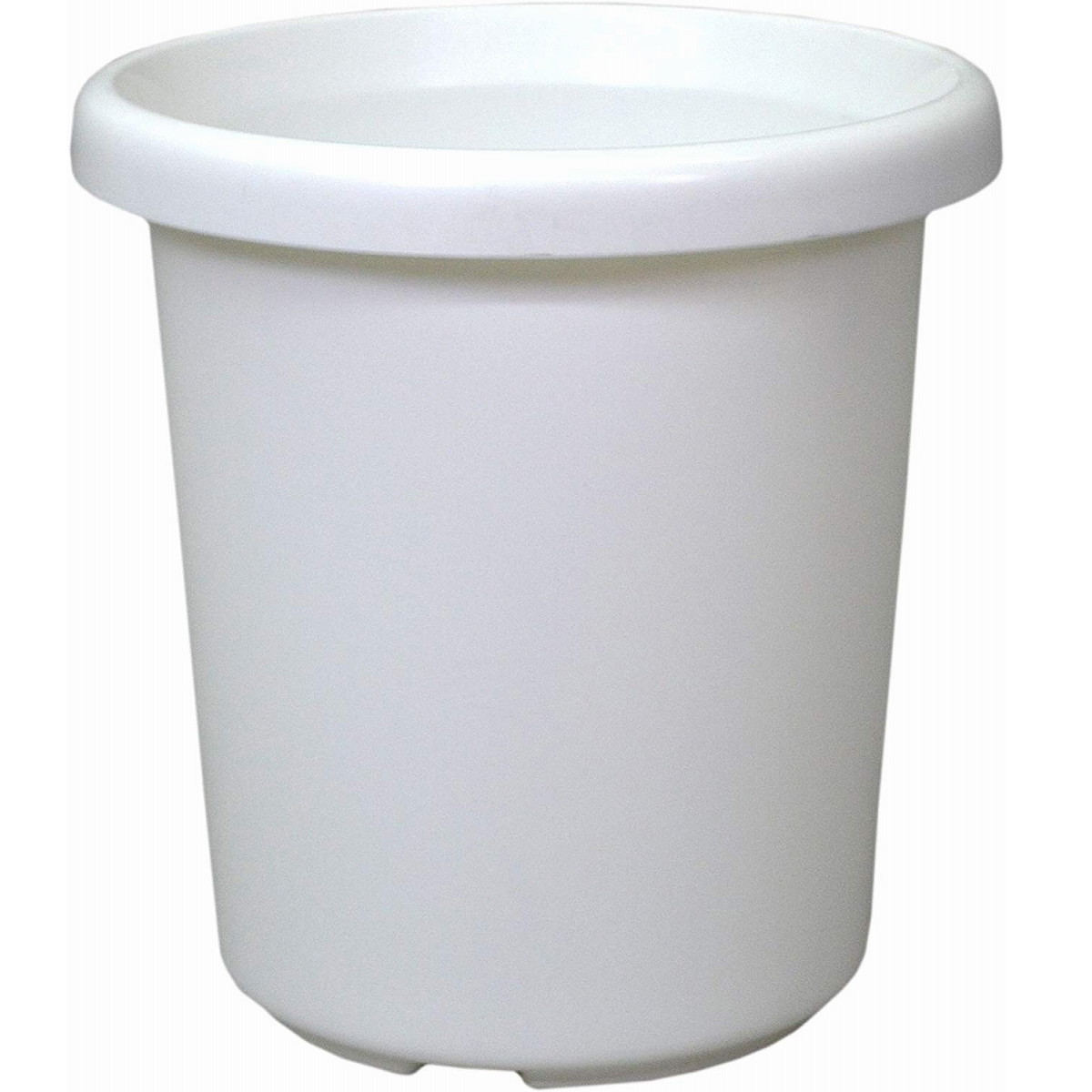 長鉢F型6号ホワイトアップルウェアー観葉植物サンセベリアポトス