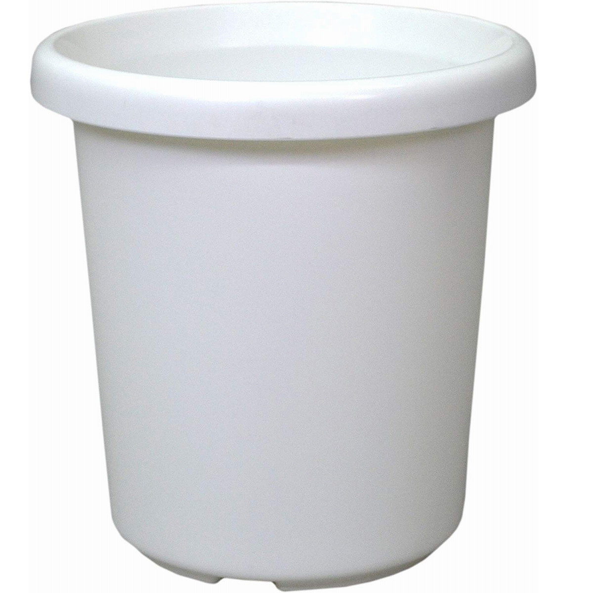 長鉢F型8号ホワイトアップルウェアー観葉植物サンセベリアポトス