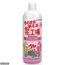 そのまま使える花工場シンビ・シクラメン用700ml住友化学園芸ガーデニング園芸用品家庭菜園肥料