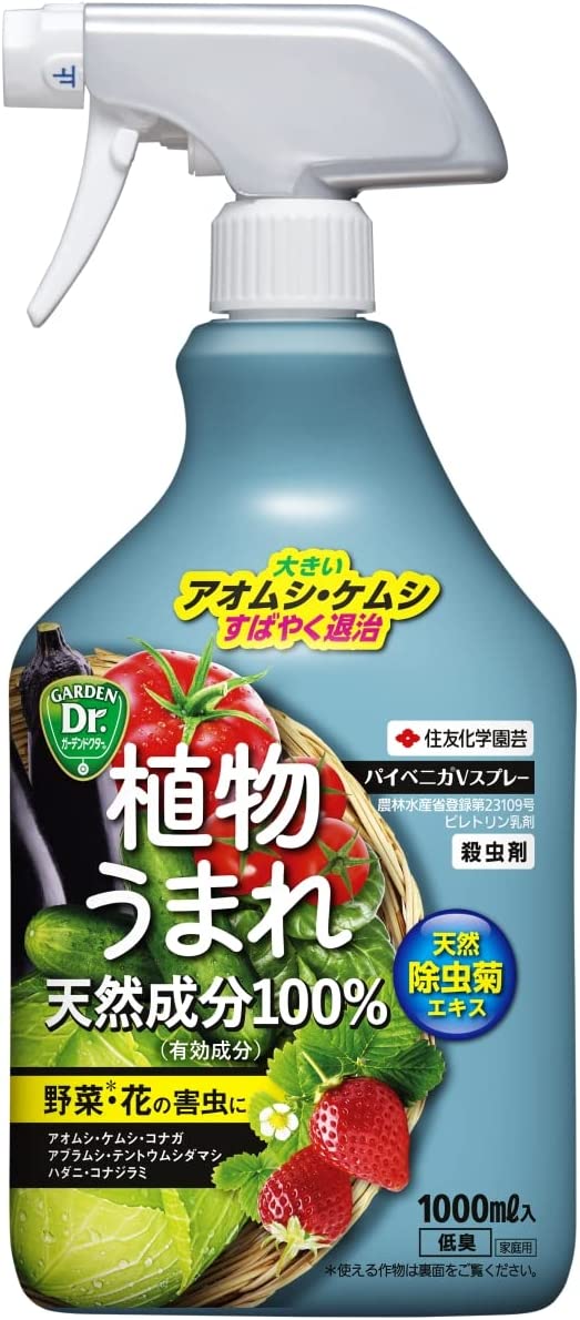 天然除虫菊エキス使用で有機JAS規格（オーガニック栽培）で使用可能。 葉をかじる虫を速効退治。 ジェット散布で庭木のケムシもねらい撃ち。 アブラムシ、ハダニ、コナジラミなどの群がる虫にも効果的。 【仕様】 農林水産省登録：第23109号 農薬の種類：ピレトリン乳剤 【成分】 ピレトリン：0.0060%、水、界面活性剤等：99.994% 【性状】 類白色乳濁液体 1000ml 住友化学園芸