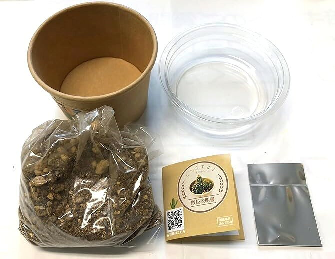 サボテン　栽培セット　フォレスト　栽培キット　園芸　多肉植物