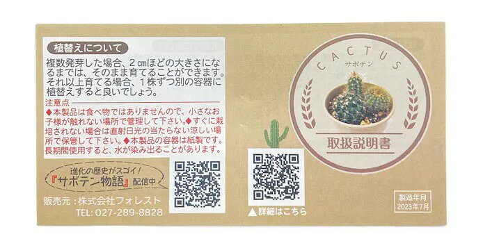 サボテン　栽培セット　フォレスト　栽培キット　園芸　多肉植物