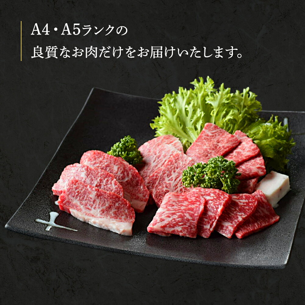 黒毛和牛 お肉 焼き肉ギフト 内祝い 肉 お肉ギフト ギフト 誕生日 食べ比べ 盛り合わせ 240g 通常カットのみ4種 プレゼント お取り寄せグルメ 食品 冷凍 和牛 焼き肉 詰め合わせ お肉セット 焼き肉セット 贈り物 dondondon-10000018 黒毛和牛のドン サンプル画像2
