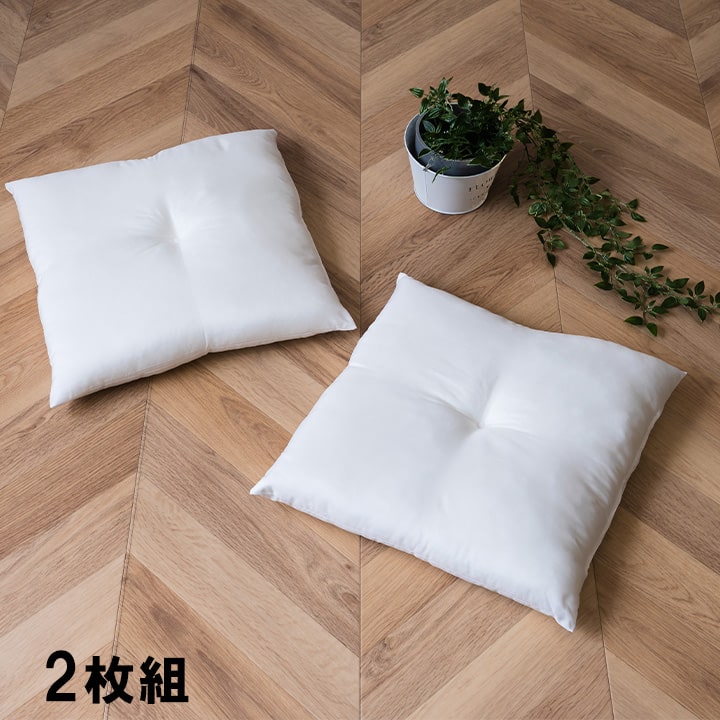 ヌードクッション 国産 日本製 洗える シート 椅子用 約45×45cm 2枚組