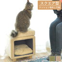 【特別価格】ペットハウススツール スクエア型 ベージュ/グリーン ペットハウス ペットスツール キャットハウス ドッグハウス 犬用 小型犬 猫用 ドッグ キャッ...