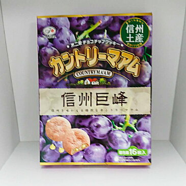 信州限定不二家チョコチップクッキーカントリーマアム信州巨峰味味（信州長野のお土産 お菓子 チョコレート菓子 土産 おみやげ チョコレート 長野限定 長野土産 長野お土産 通販）