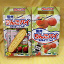 手提げ信州りんごパイ10個入（信州長野県のお土産 お菓子 お取り寄せ スイーツ リンゴパイ おみやげ 林檎ケーキ 洋菓子 長野土産 長野お土産 通販）