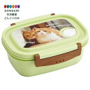 【200円クーポン】 SKATER スケーター ラク軽 軽い 弁当箱 M 550ml レンジ対応 シール容器 保存容器 茶太郎ときなこ 日本製 XPM4-A <スケーター プレゼント 入園祝い 入学祝い 小学校 子供 女の子 小学生 お弁当箱 ランチボックス かわいい おしゃれ お返し>