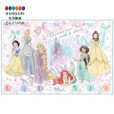 【200円クーポン】 SKATER スケーター ディズニープリンセス VS1 レジャーシートS Disney Princess <スケーター プレゼント 入園祝い 入学祝い 入園グッズ 幼稚園 小学校 子供 女の子 小学生 お弁当箱 かわいい おしゃれ お返し>