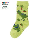 【200円クーポン】 SKATER スケーター 子供用 ソックス 靴下 14~16cm ディノサウルス 恐竜 SOX2-A <スケーター プレゼント 入園祝い 入学祝い 子供 男の子 かわいい おしゃれ お返し 男子>