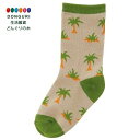 【200円クーポン】 SKATER スケーター 子供用 ソックス 靴下 14~16cm ディノサウルス ヤシの木 SOX2-A <スケーター プレゼント 入園祝い 入学祝い 子供 男の子 かわいい おしゃれ お返し 男子>