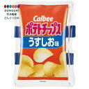 【200円クーポン】 SKATER スケーター 保冷剤 保冷材 ベルト付 お弁当 ランチベルト お菓子シリーズ ポテトチップス うすしお味 CLBB1-A <ス...