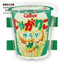 【200円クーポン】 SKATER スケーター ベルト付 保冷剤 保冷材 お弁当 ランチベルト お菓子シリーズ じゃがりこ サラダ CLBB1-A <スケーター...