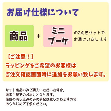 【ジブリ グッズ】となりのトトロ エプロン　トトロ×ミニブーケセット【スタジオジブリ】【ギフト・グッズ】【ジブリ グッズ】 【トトロ母の日】【ジブリ母の日】