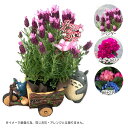 予約商品・母の日生花 となりのトトロ トトロと森の三輪車 プランターカバー 母の日生花・アレンジセット2025 選べる季節のお花ver. (3パターン・選択式)...