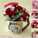 花・観葉植物用ポット エルセ 14 B ceramic （6個入り） 40146 鉢タイプ （代引き不可） ミニ鉢カバー FARM （p27）