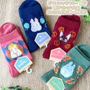 メール便OK ジブリ グッズ 24AW ジブリキャラクター 靴下(ソックス) 部分マシュマロ糸 23-25cm(全4柄・選択式) 大人用サイズ スタジオジブリ ギフト レディース じぶり ととろ トトロ ジジ 坊ネズミ ヒン キャラクター靴下