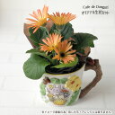 生花 となりのトトロ カップ型プランターカバー トトロとお花のアーチ おまかせ季節の生花・アレンジセット スタジオジブリ ジブリ グッズ 梱包送料込 合わせ買い...