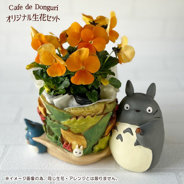 【5月限定●全品ポイント10倍!(エントリー要)】 葉っぱあつめ　プランターカバー 季節のおまかせ・生花セット スタジオジブリ ジブリ 梱包送料込 合わせ買い不可のサムネイル