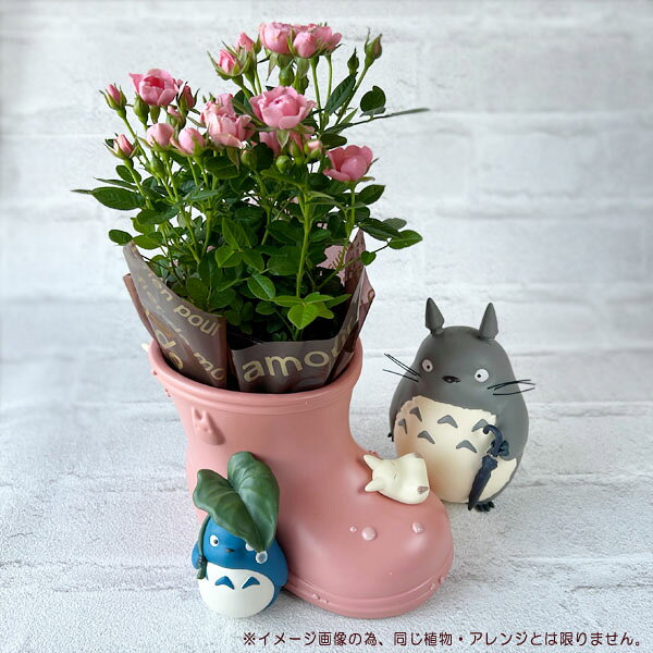 ☆Cafe de Donguriオリジナル☆ ピンクの長靴デザインが可愛いジオラマボックスに 「生花(3～3.5号の苗)」を セットしてお届け♪ 生花は季節のおまかせ。 品種や生花の色のご指定は頂けません。 （画像はイメージ画像で同じ生花・色とは限りません） ★季節おまかせ一例★ ・シクラメン ・ガーベラ ・カランコエ ・ミニバラ　他 インテリアやプレゼントなどにおすすめです ※商品サイズ等は、単品商品ページをご覧下さい -------------- 【ご注意】 ※アレンジ資材は都合により変更する場合がございます ※破損防止対策として 　発泡スチロール又は段ボール等の 　紙資材で固定して発送致します ※配送途中の生花飛び出し防止の為、 長い竹制の棒を使用する場合がございます。 到着後は取り除いていただいて大丈夫です ※雑貨商品の買い合わせ、ラッピングのご指定は ご遠慮頂いております、何卒ご了承ください。 ※フェイクグリーンではございません、適度に水やりが必要です -------------- ・となりのトトロ　メイの長靴 　ジオラマボックス　8,800円(税込) ・生花アレンジ　990円(税込) ・梱包送料(商品代に含)　1,650円(税込) (※北海道、沖縄他離島の場合+550円(税込)追加) →計11,440円(税込) (※追加料金の場合は計11,990円税込) 『となりのトトロ』 宮崎駿(みやざきはやお)監督、 スタジオジブリ制作により昭和63(1988)年に 発表された最高傑作アニメです。 昭和30年代の狭山丘陵を舞台に、 お父さんと一緒に古いお家に引っ越してきた サツキとメイが、森に住むトトロと出会い ステキな冒険が始まります。