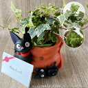 魔女の宅急便 ジジからの贈り物 植物・アレンジセット (2パターン・選択式) 買い合わせ不可 梱包送料込(4)