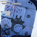 メール便OK ジブリ となりのトトロ グッズ 本染め手ぬぐい 夏夜のひととき スタジオジブリ ギフト ととろ　手拭い