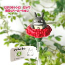 ジブリ グッズ となりのトトロ ピック 花開くカーネーション2023 ジブリ グッズ ととろ