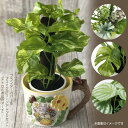 となりのトトロ カップ型プランターカバー&フェイクグリーンアレンジセット(トトロとお花のアーチ) ジブリ サマーギフト 観葉植物 フェイク 置物 おしゃれ かわ...