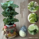 ジブリ グッズ となりのトトロ プランターカバー&フェイクグリーンアレンジセット(トトロと森のネコバス) スタジオジブリ 置物 おしゃれ かわいい サマーギフト...