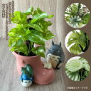 ジブリ グッズ となりのトトロ ジオラマボックス&フェイクグリーンアレンジセット(メイの長靴) スタジオジブリ 置物 おしゃれ かわいい サマーギフト 観葉植...