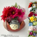 となりのトトロ グッズ プランターカバー&造花アレンジセット(どんぐりさいたよ) スタジオジブリ ジブリ ととろ 造花 春夏
