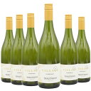 [6本セット] トラウトワイン シャルドネ [2021] (トラウトワイン)　Trautwein Chardonnay (Trautwein)　ドイツ バーデン 白 辛口 750ml