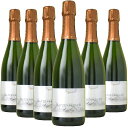 [6{Zbg] onbq[ [XO [Ng ubg [2017] (bcFxK[)@Bacharacher Riesling Sekt brut (Weingut Ratzenberger)@hCc ~beC [Ng Xp[NO  h 750ml