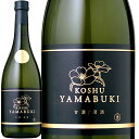 山吹ゴールド 熟成古酒 (金紋秋田酒造(株)) Jukusei-kosyu Yamabuki-Gold (kinmon-Akita Shuzou Co.Ltd.) 日本 秋田県 大仙市 日本酒 Craft Sake 720ml