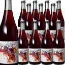 [12本セット] パーク・ワイン・レッド (ヴィンテロパー)　Park Wine Red (Vinteloper)　オーストラリア サウス・オーストラリア リヴァーランド GI 赤 750ml