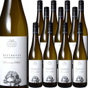 [12{Zbg] O[i[ Fg[i[ x[g[F  x (}C[ A v@[vbc)@Gruner Veltliner Beethoven No.9 (Mayer am Pfarrplatz)@I[XgA EB[  h 750ml